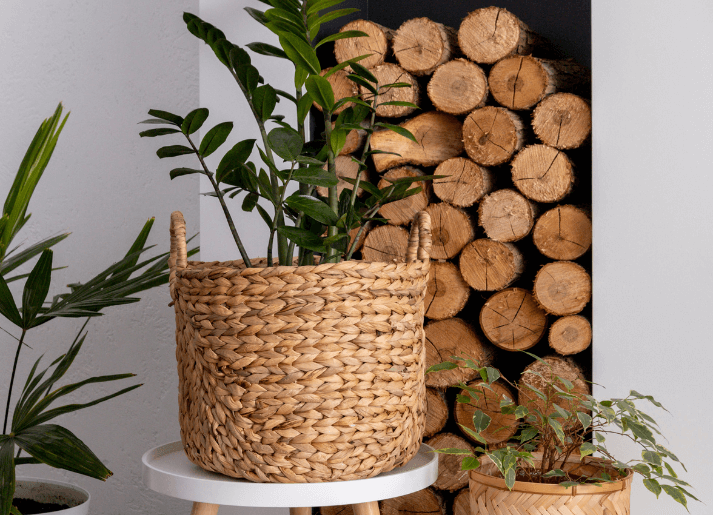 RUSTIC