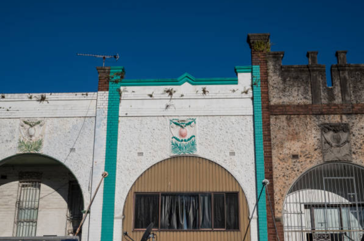 renovate, stage Surrey Hills property